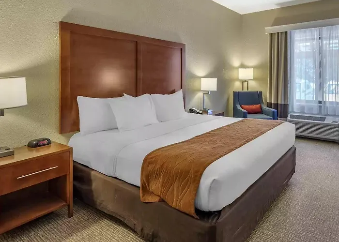Comfort & Hotel 5*