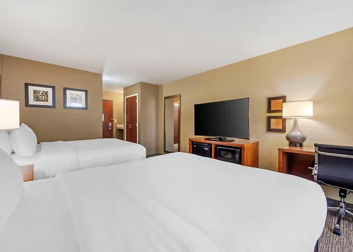 Comfort & 5*