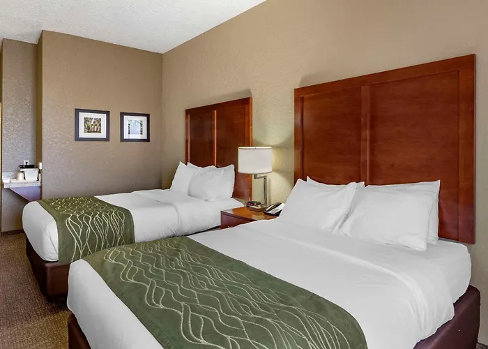 Hotel Comfort &