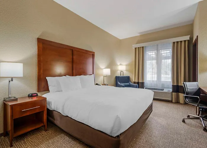 Comfort & Hotel