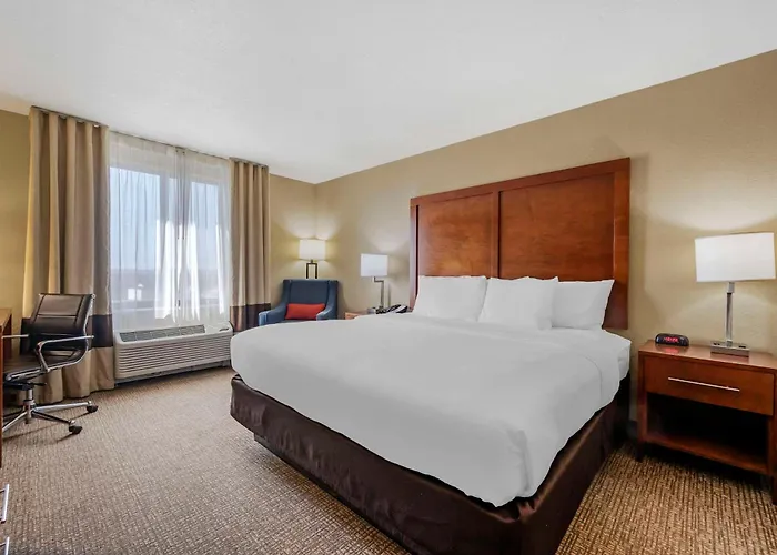 Comfort & Hotel 5*