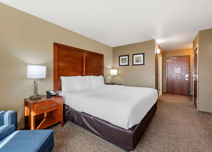 Hotel Comfort & 5*
